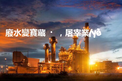 廢水變寶藏，屠宰業(yè)如何實(shí)現(xiàn)綠色處理？
